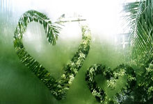 她笔下的天涯天地：方圆万里，也不止三百字。