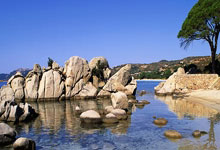 天涯论坛经济区探秘，老版社区经济热议新料